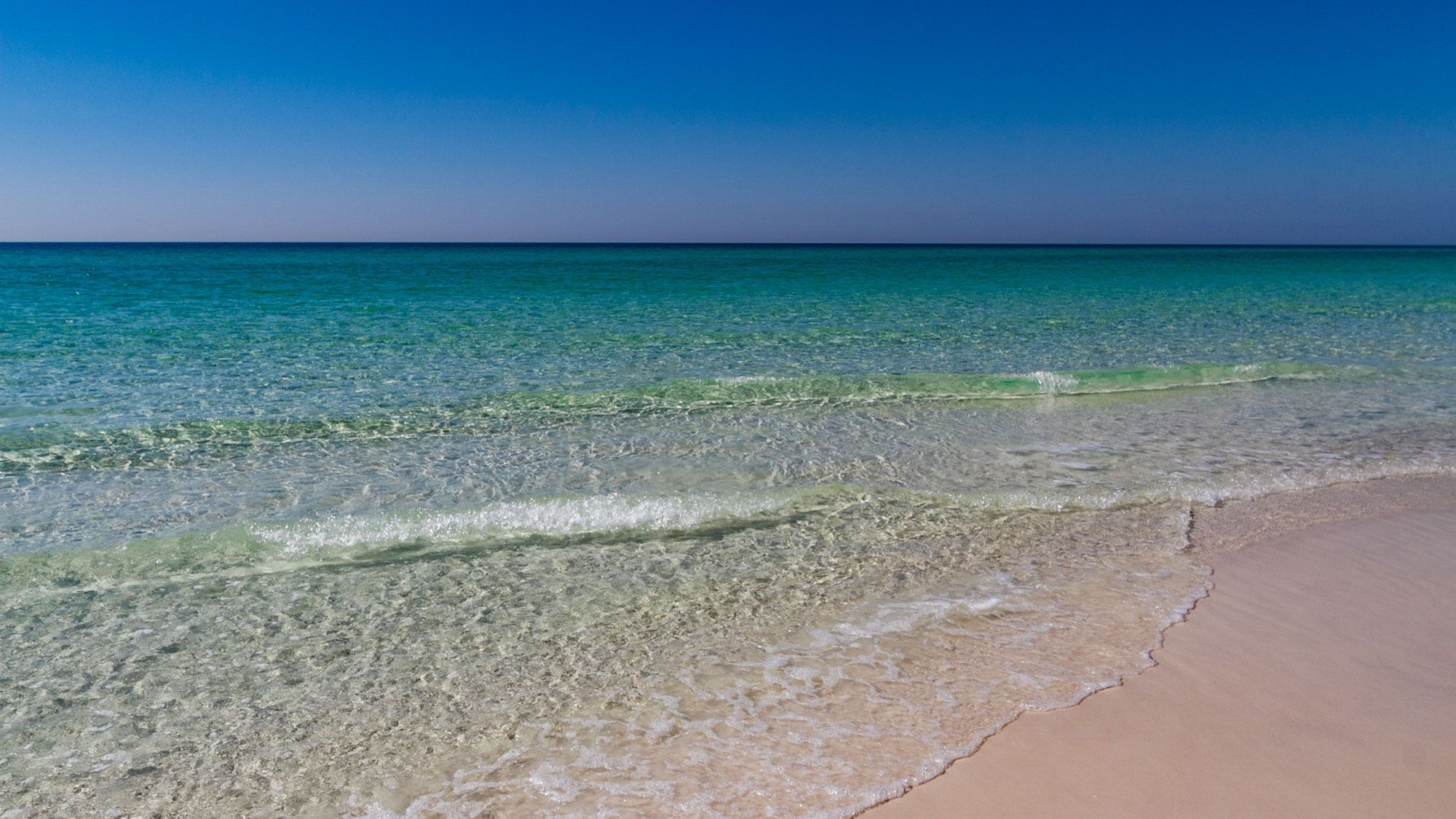 Paradise Retreat Neighborhood