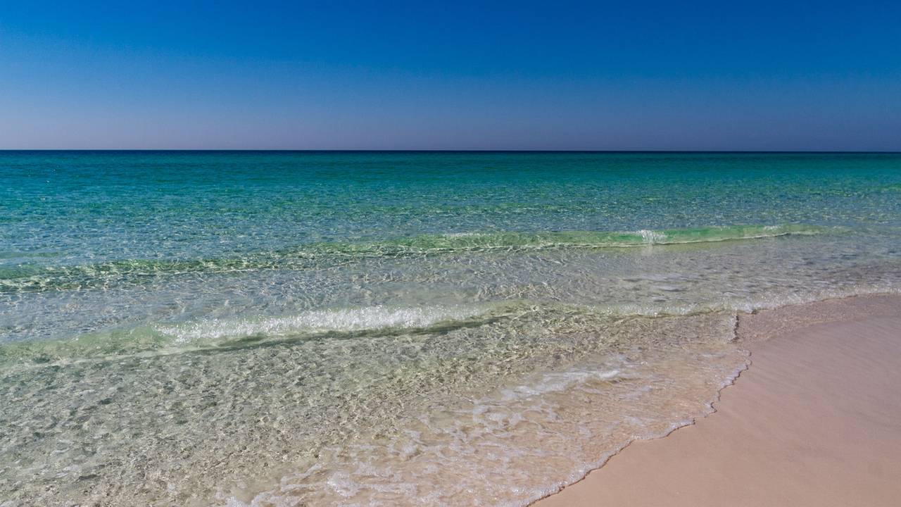 Paradise Retreat Neighborhood Paradise Retreat Neighborhood