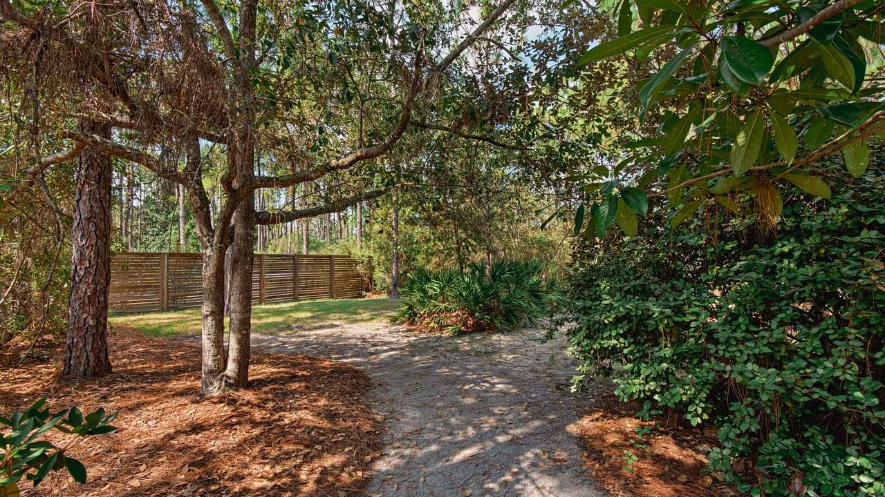 Magnolia Breeze - Backyard Magnolia Breeze - Backyard