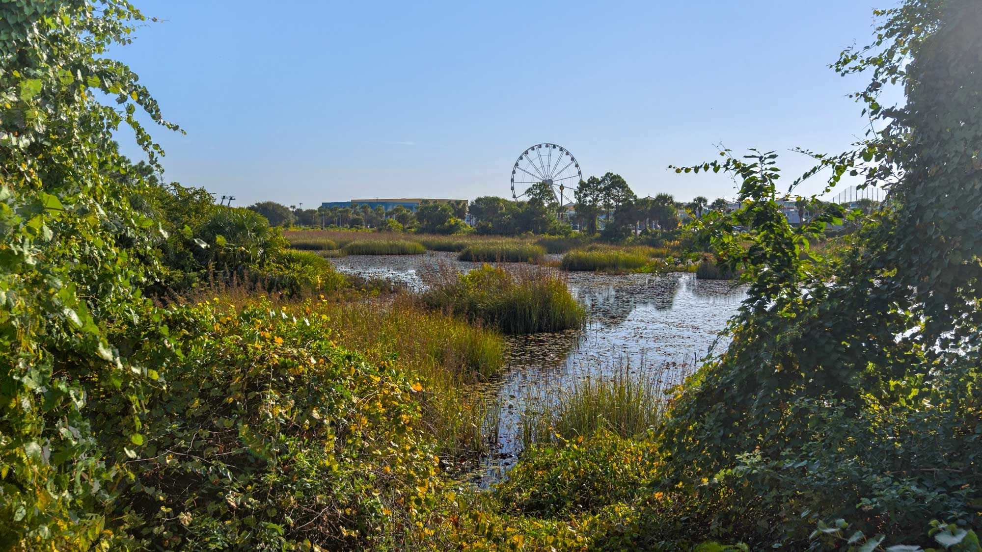 Summertowne Cottage Grounds & Amenities