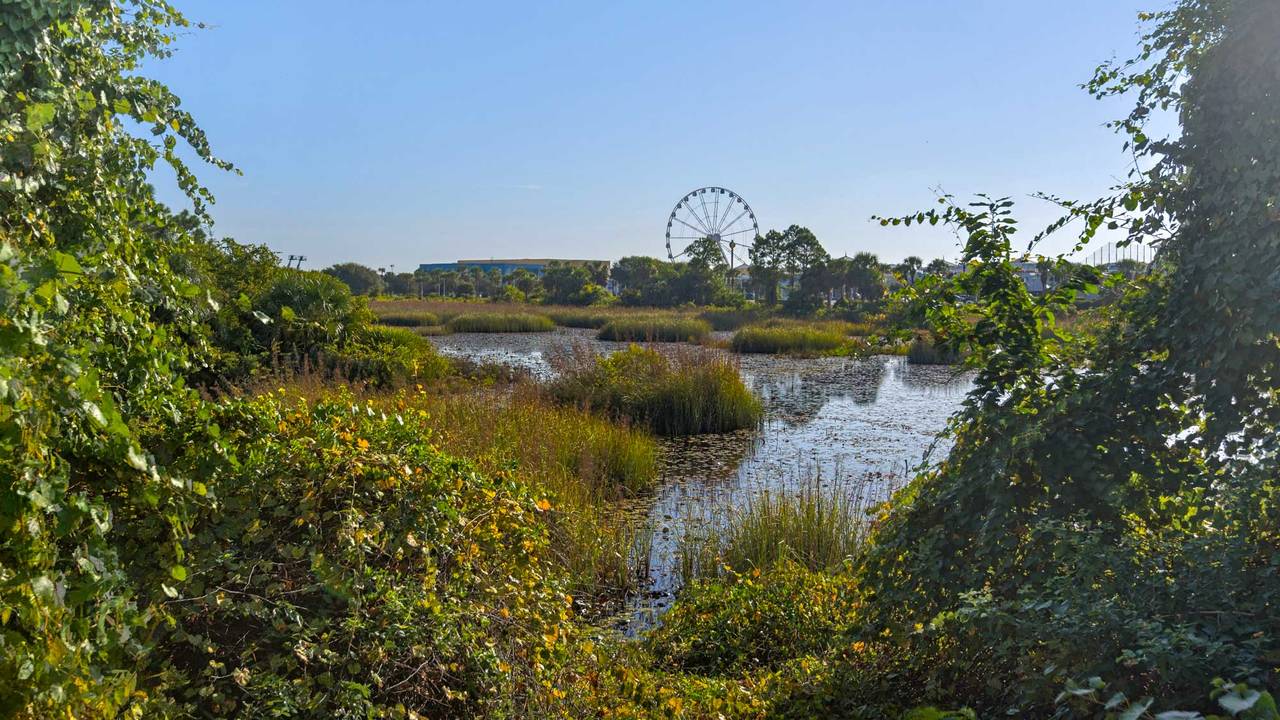 Summertowne Cottage Grounds & Amenities Summertowne Cottage Grounds & Amenities