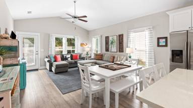 Beach Life Beach Life