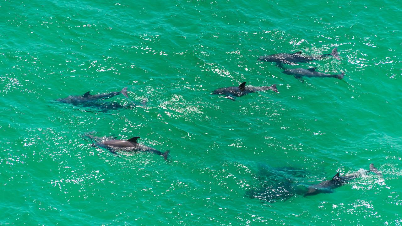 Tidewater Grounds & Amenities Tidewater Grounds & Amenities