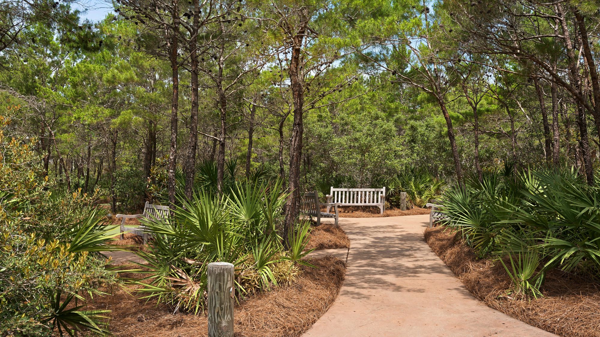 Watersound Amenities