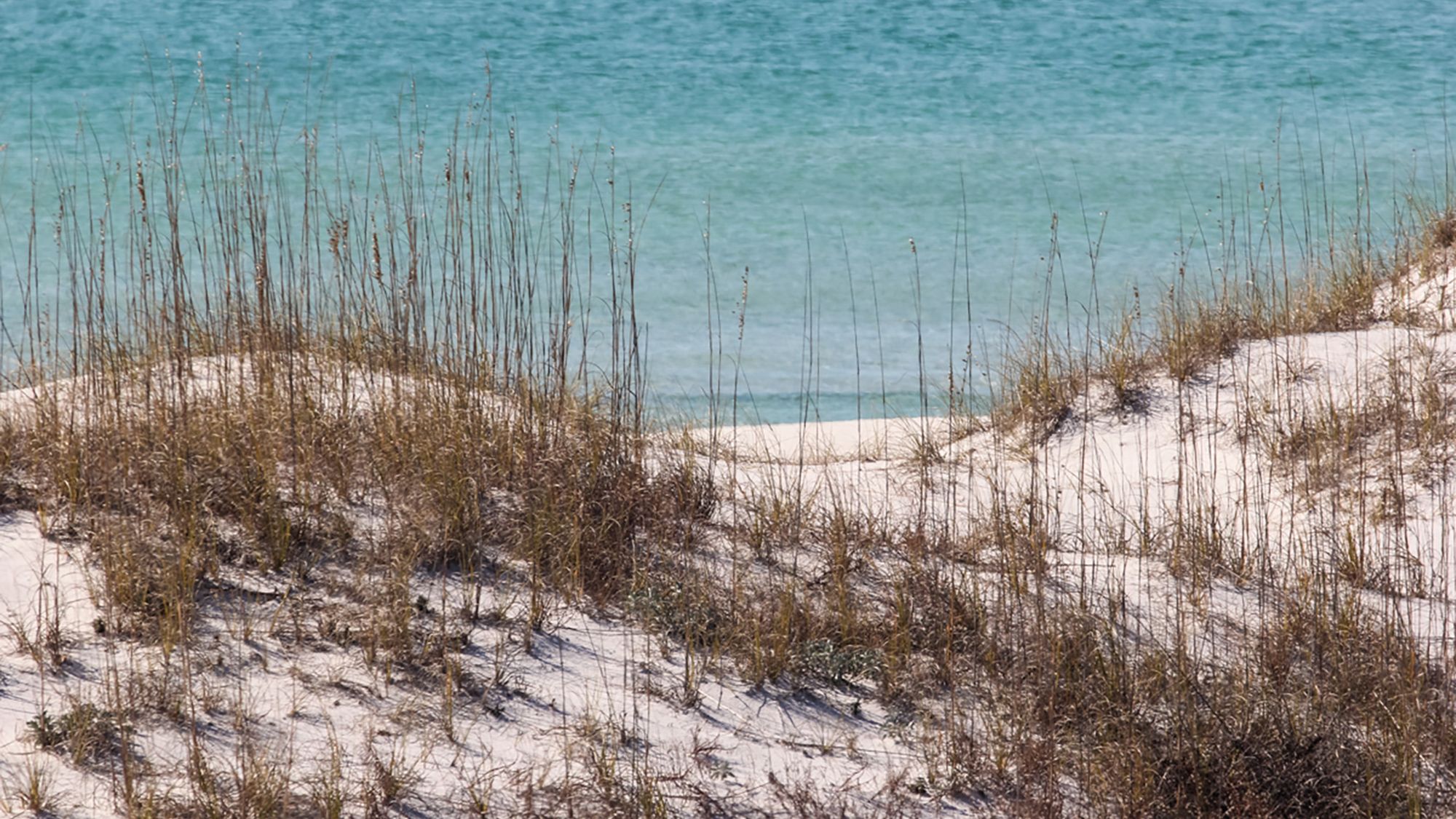 Watersound Amenities