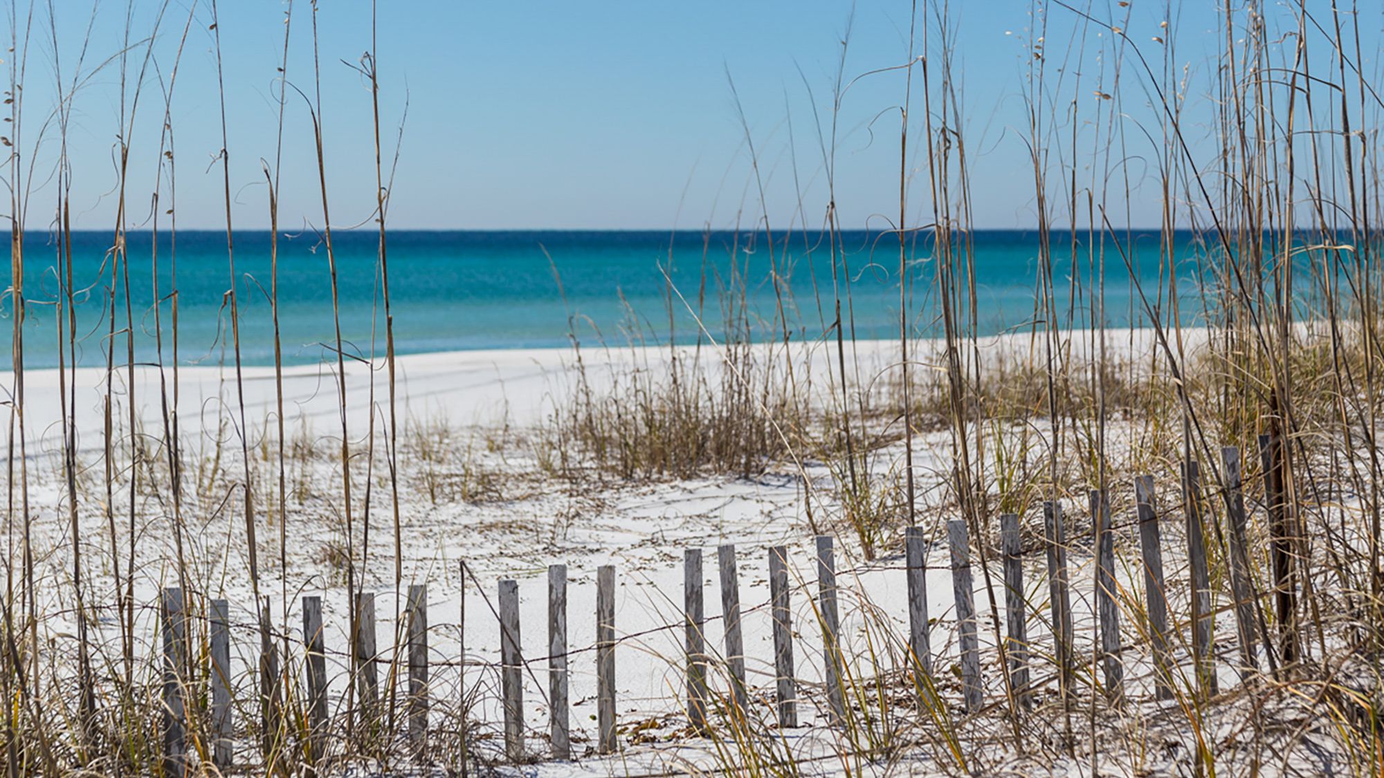 Watersound Amenities