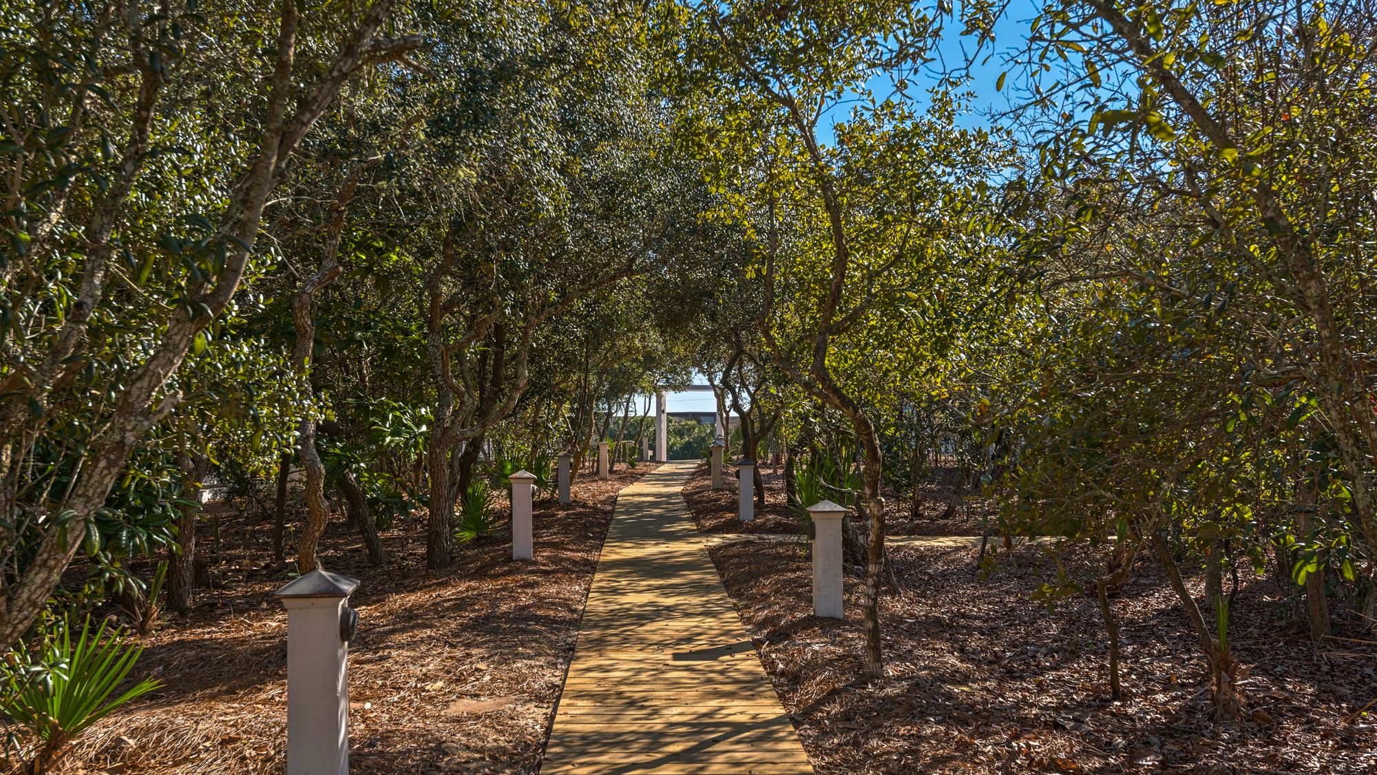 The Cottages at Camp Creek