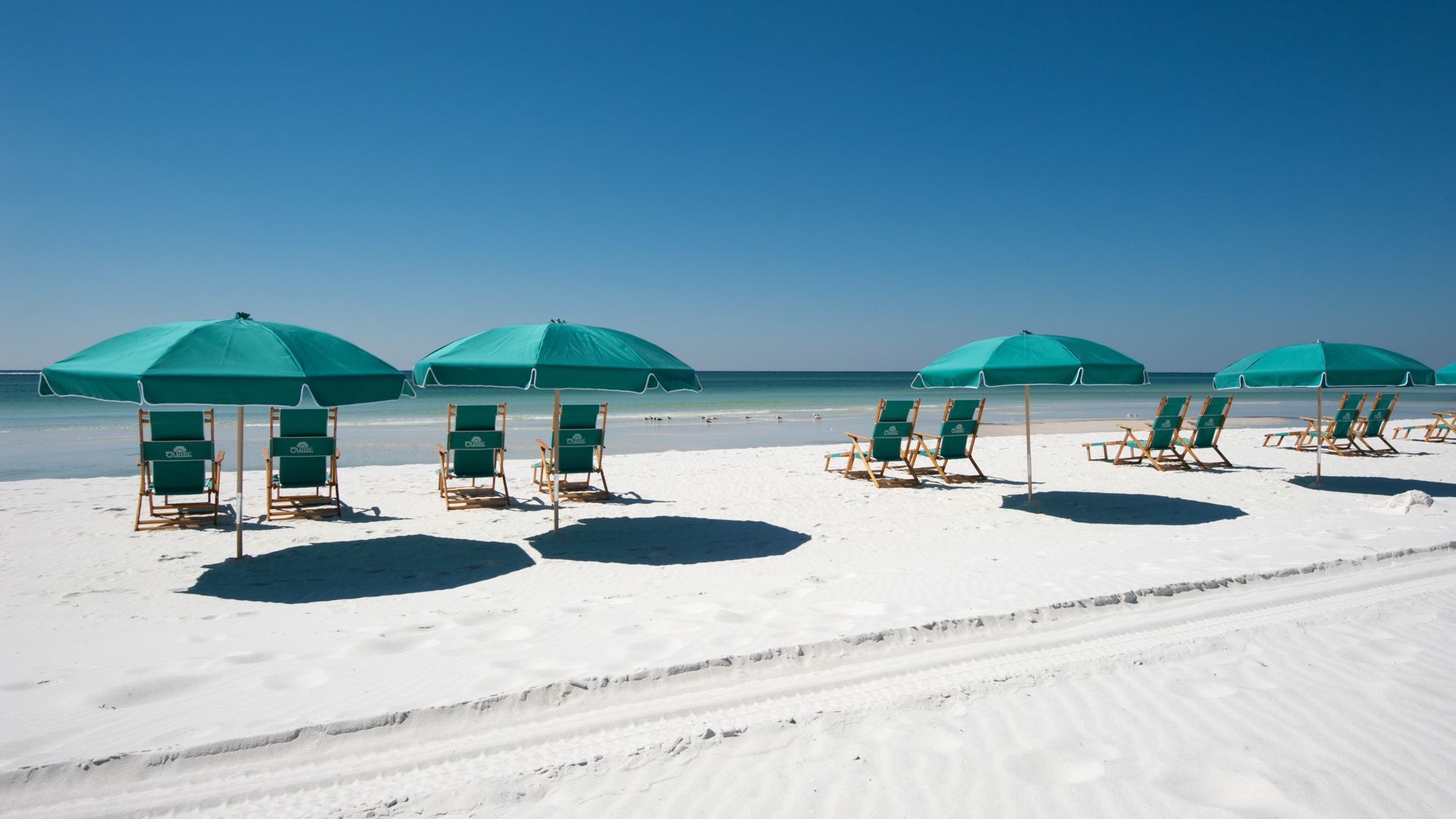 Seagrove Highlands Grounds & Amenities