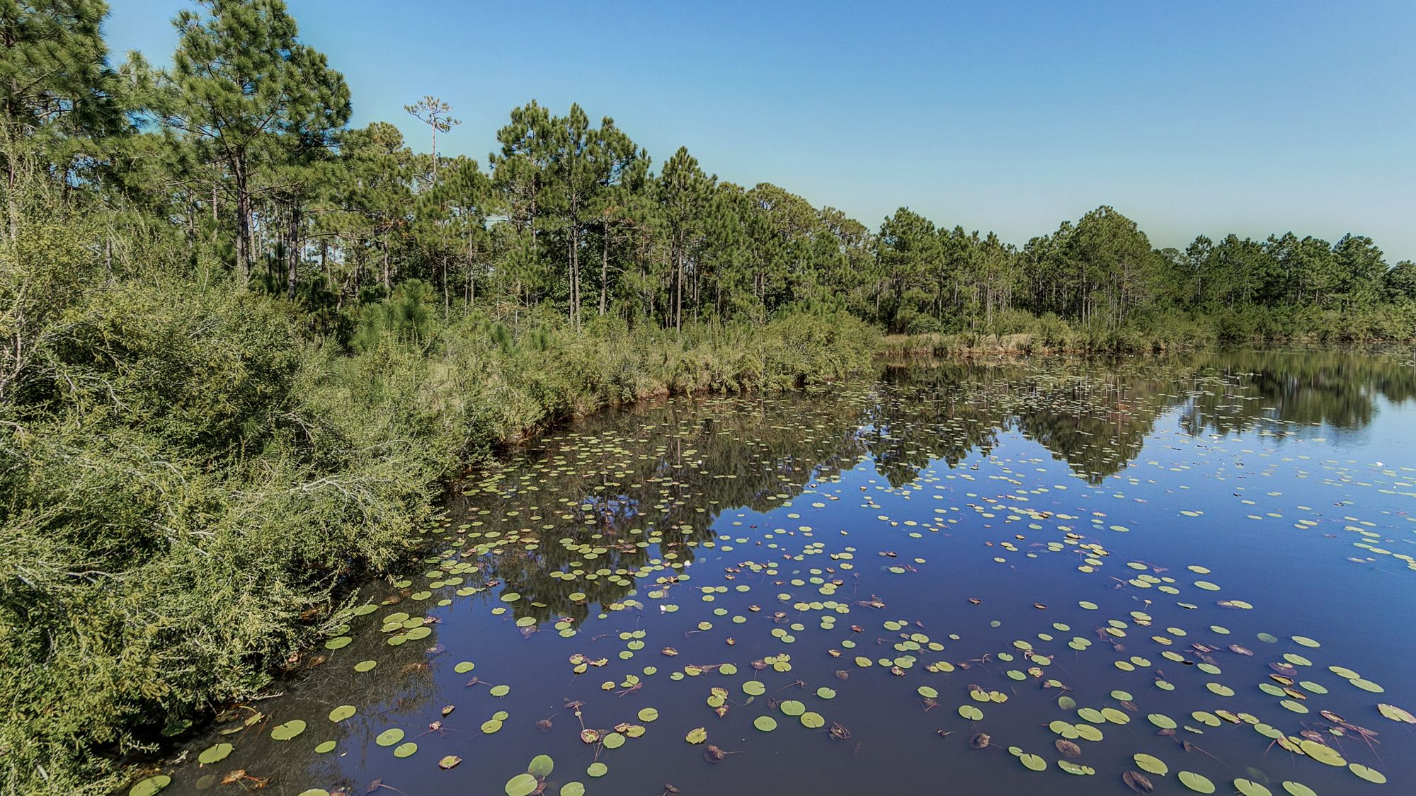 Seagrove Highlands Grounds & Amenities