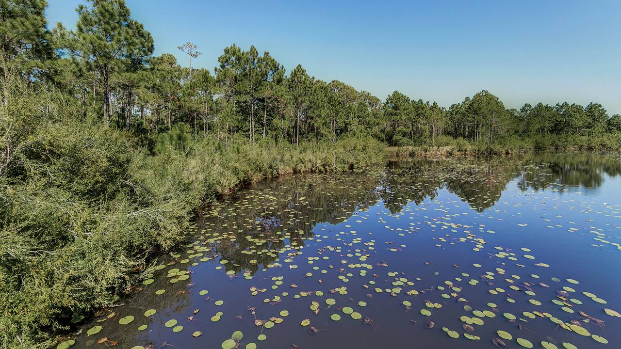 Seagrove Highlands Grounds & Amenities Seagrove Highlands Grounds & Amenities