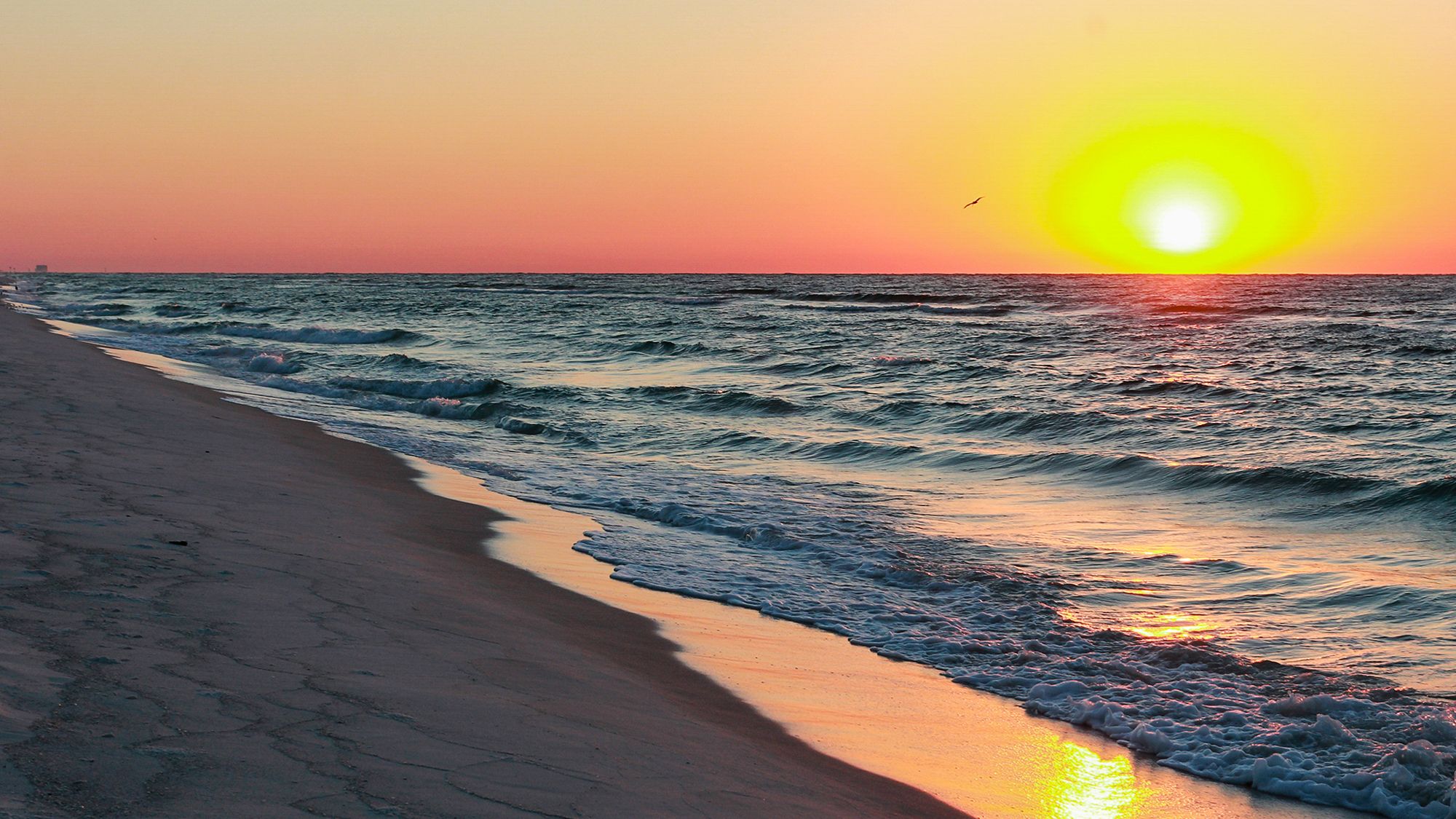 Sunrise Sunset 