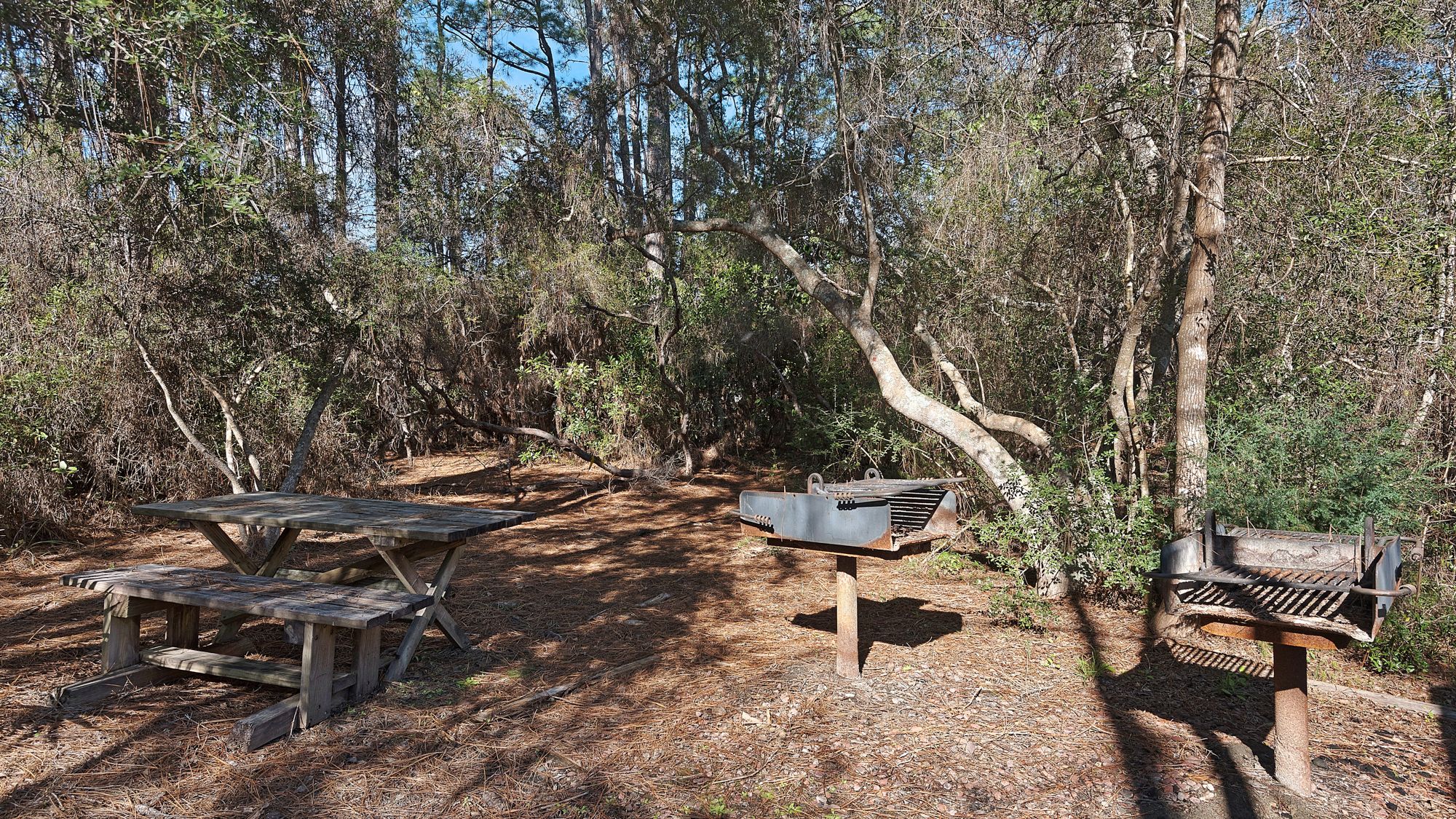 Cassine Gardens Grounds & Amenities