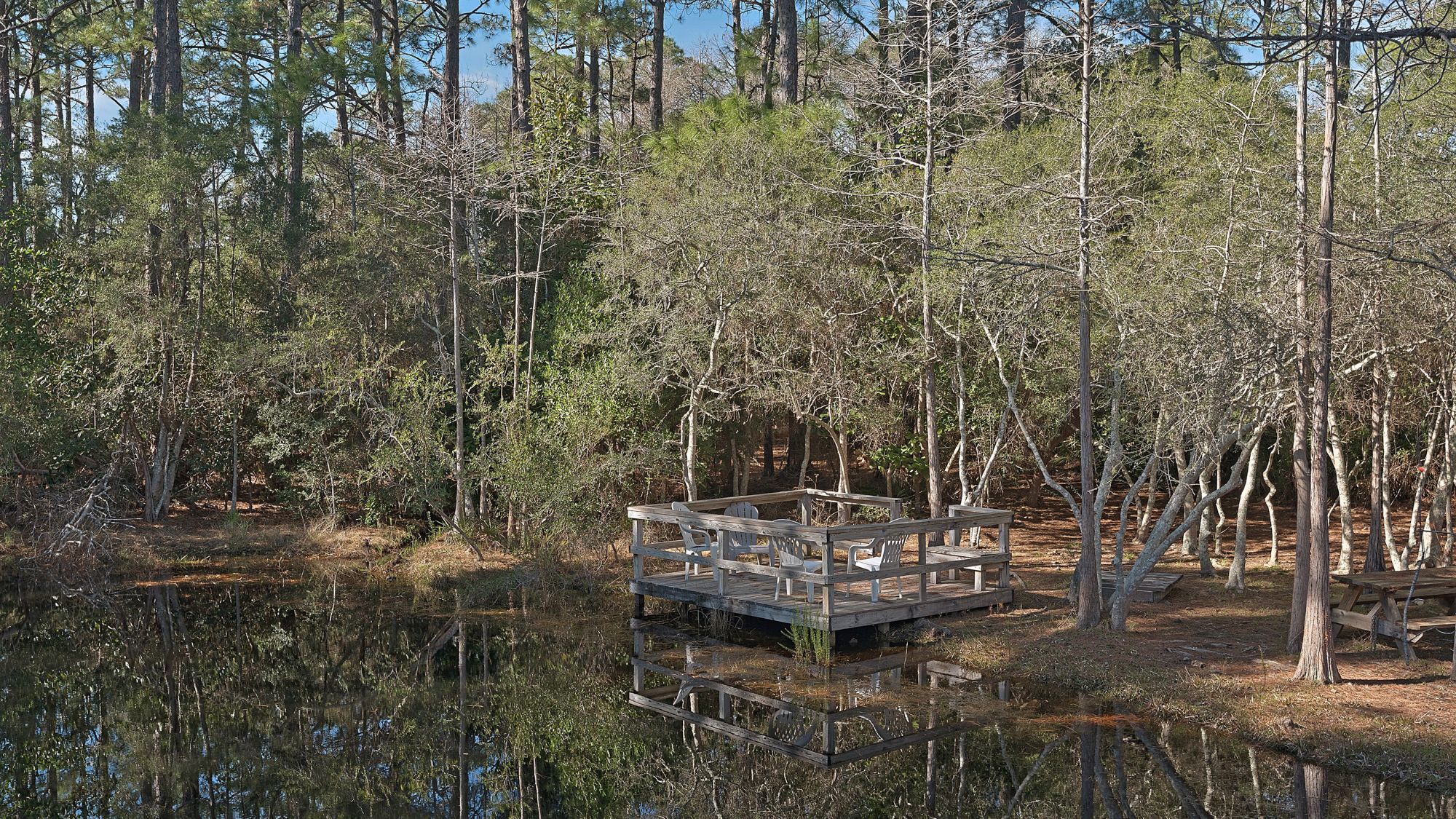 Cassine Gardens Grounds & Amenities