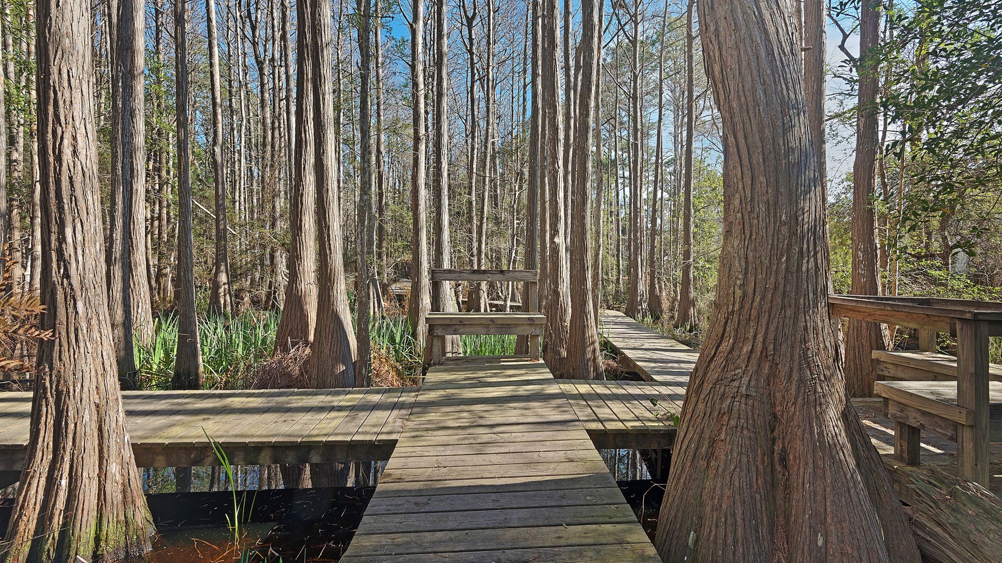 Cassine Gardens Grounds & Amenities