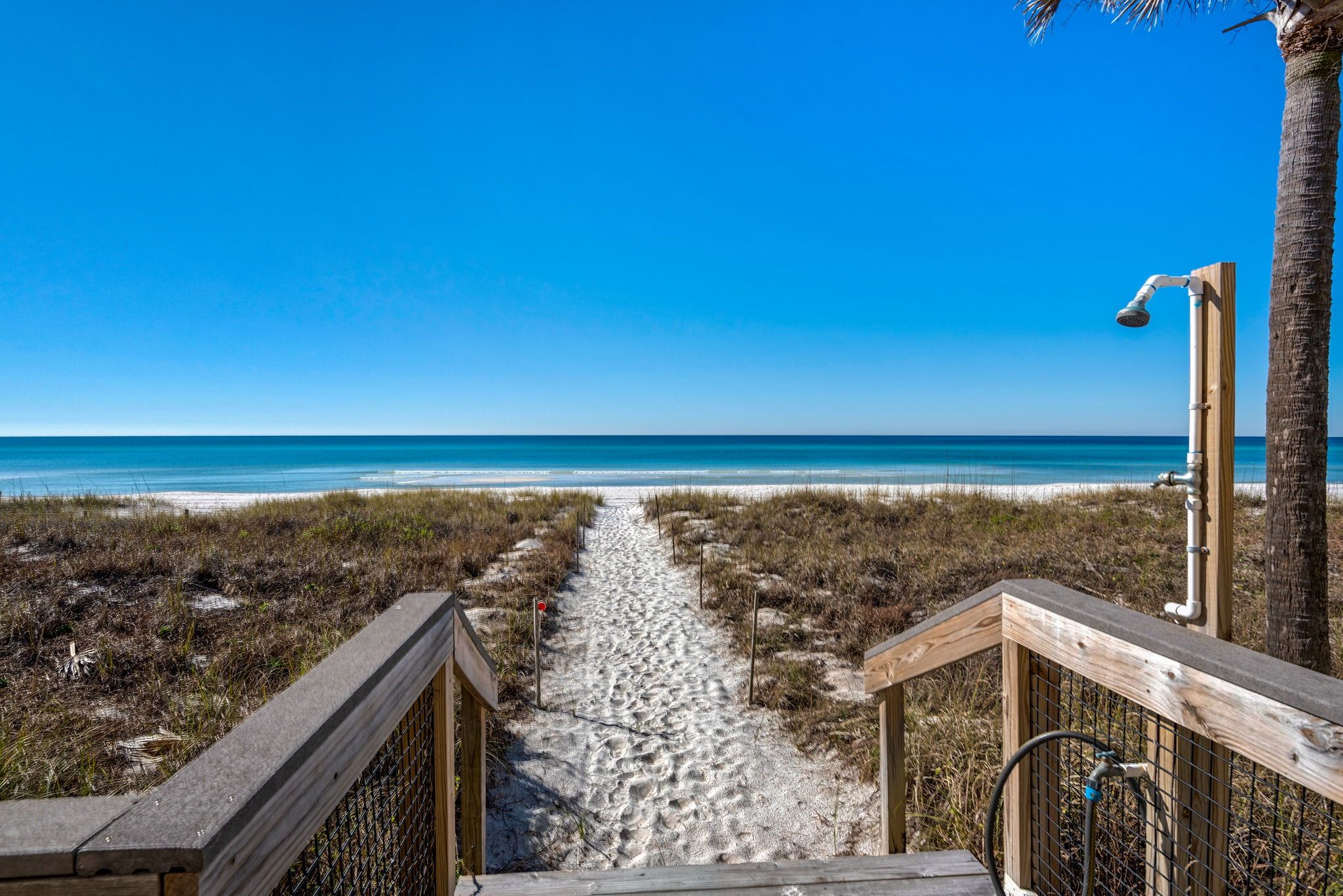 The Shores Grounds and Amenities