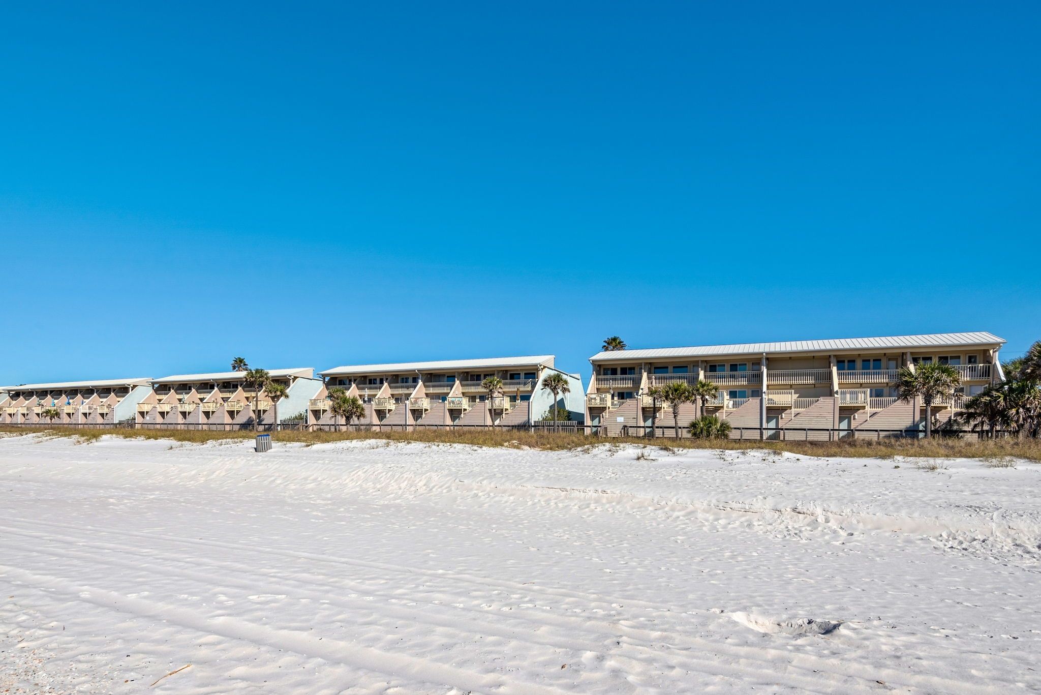 The Shores Grounds and Amenities