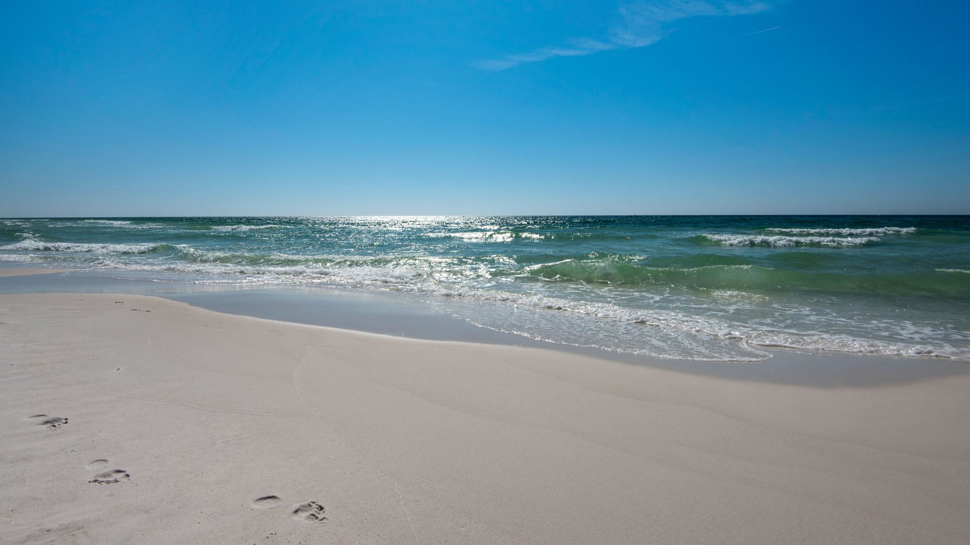 One Seagrove Place Grounds & Amenities