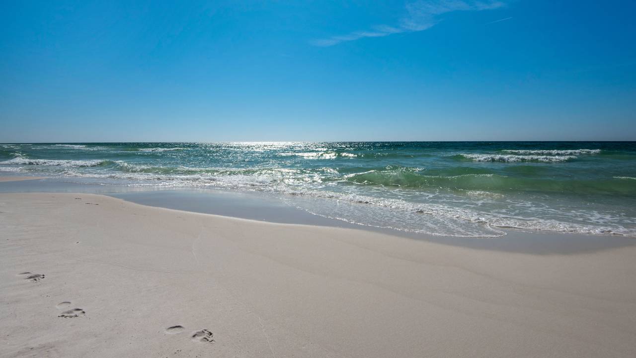 One Seagrove Place Grounds & Amenities One Seagrove Place Grounds & Amenities