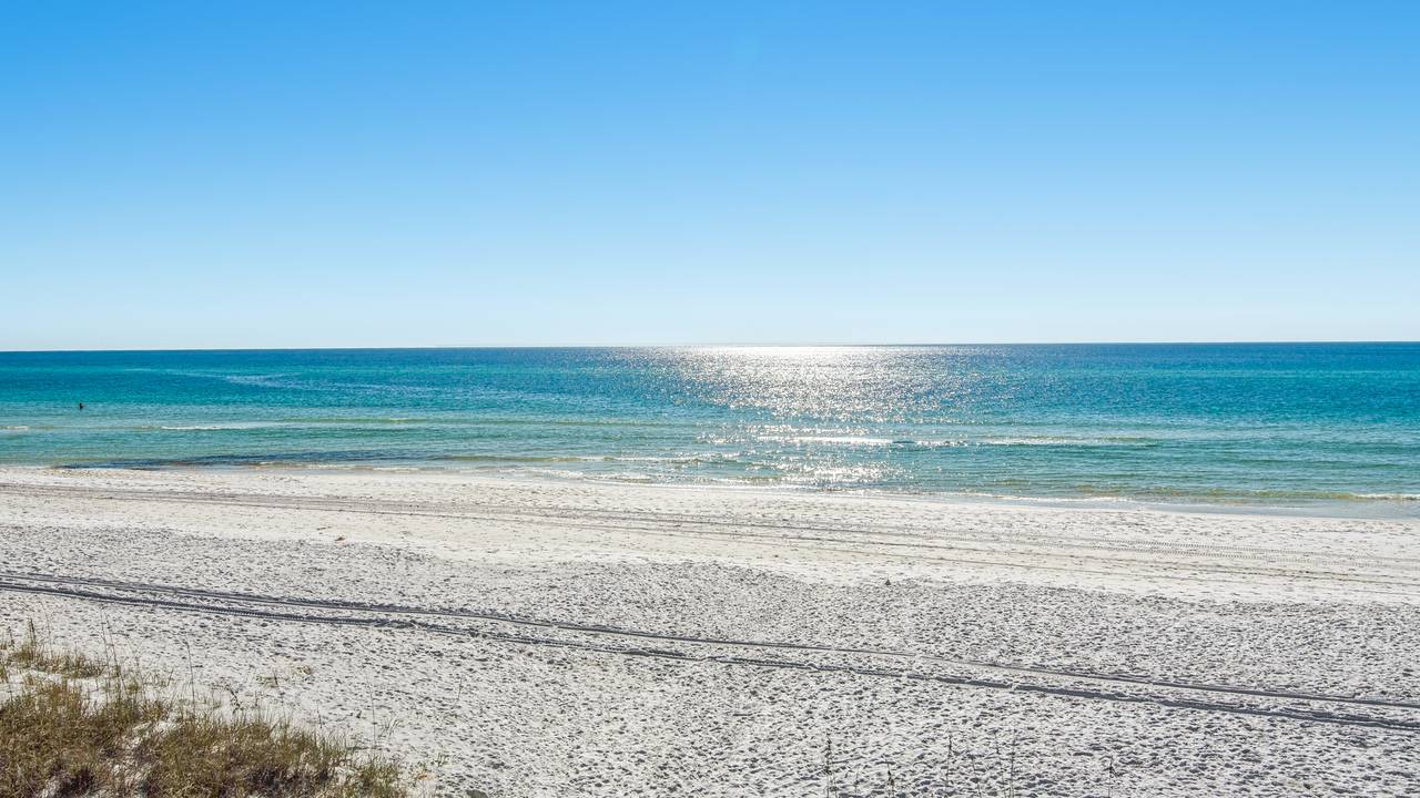 Beach area Beach area