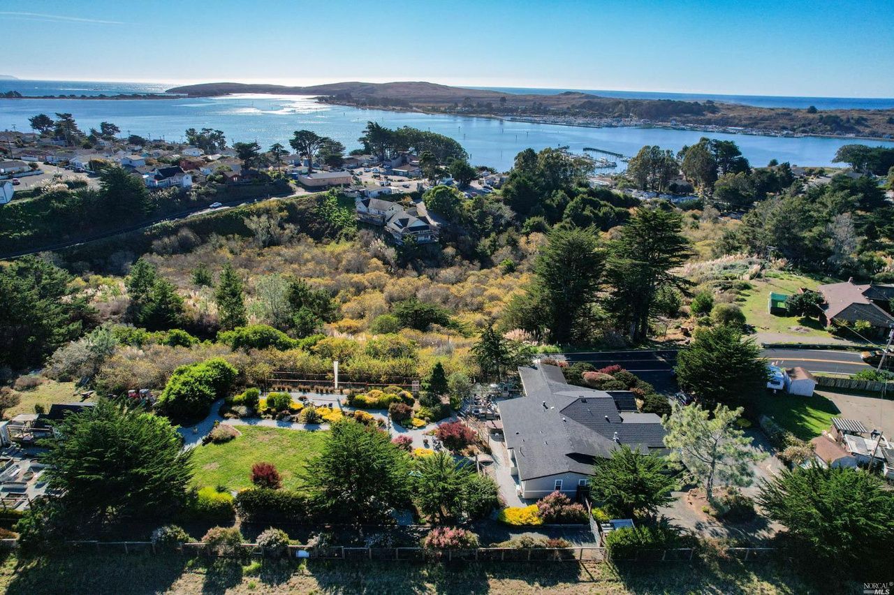 Flying Phog Farm Bodega Bay Escapes