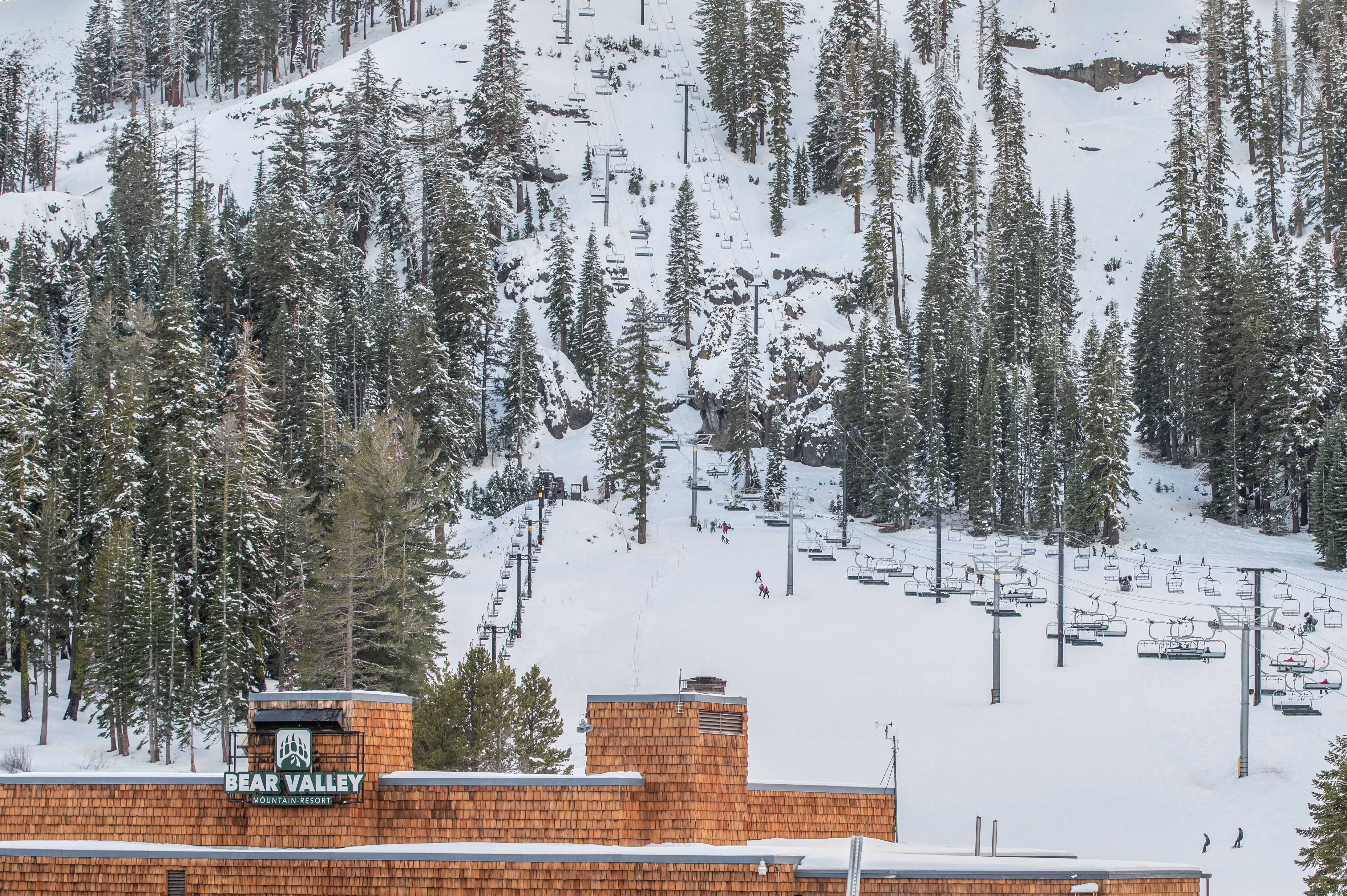 Astro's Dogwood Cabin New! Central Heat & A/C Pet friendly