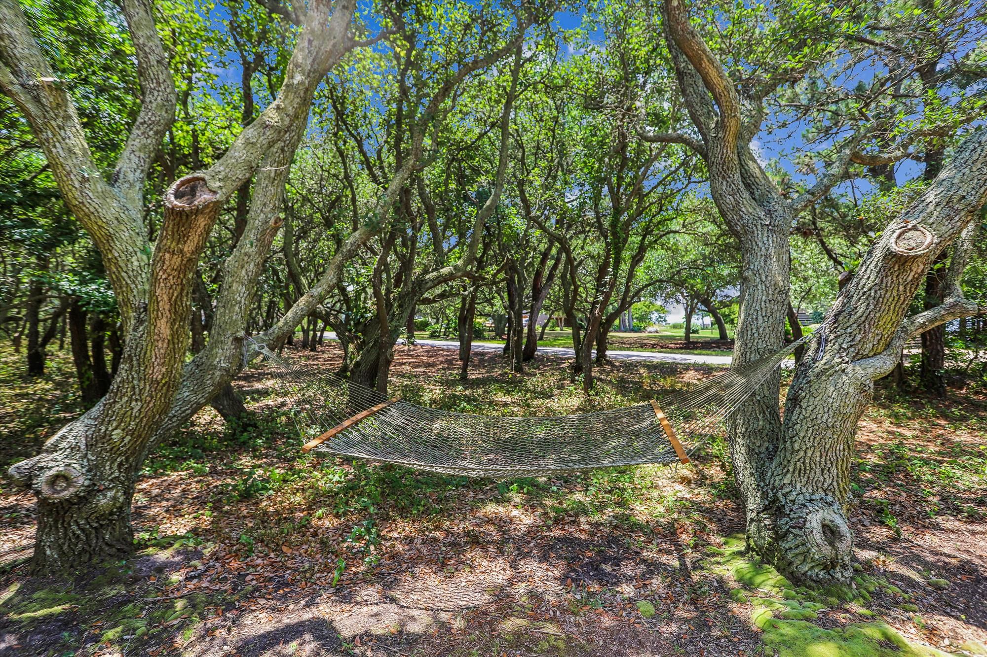 Spacious Backyard with Hammock