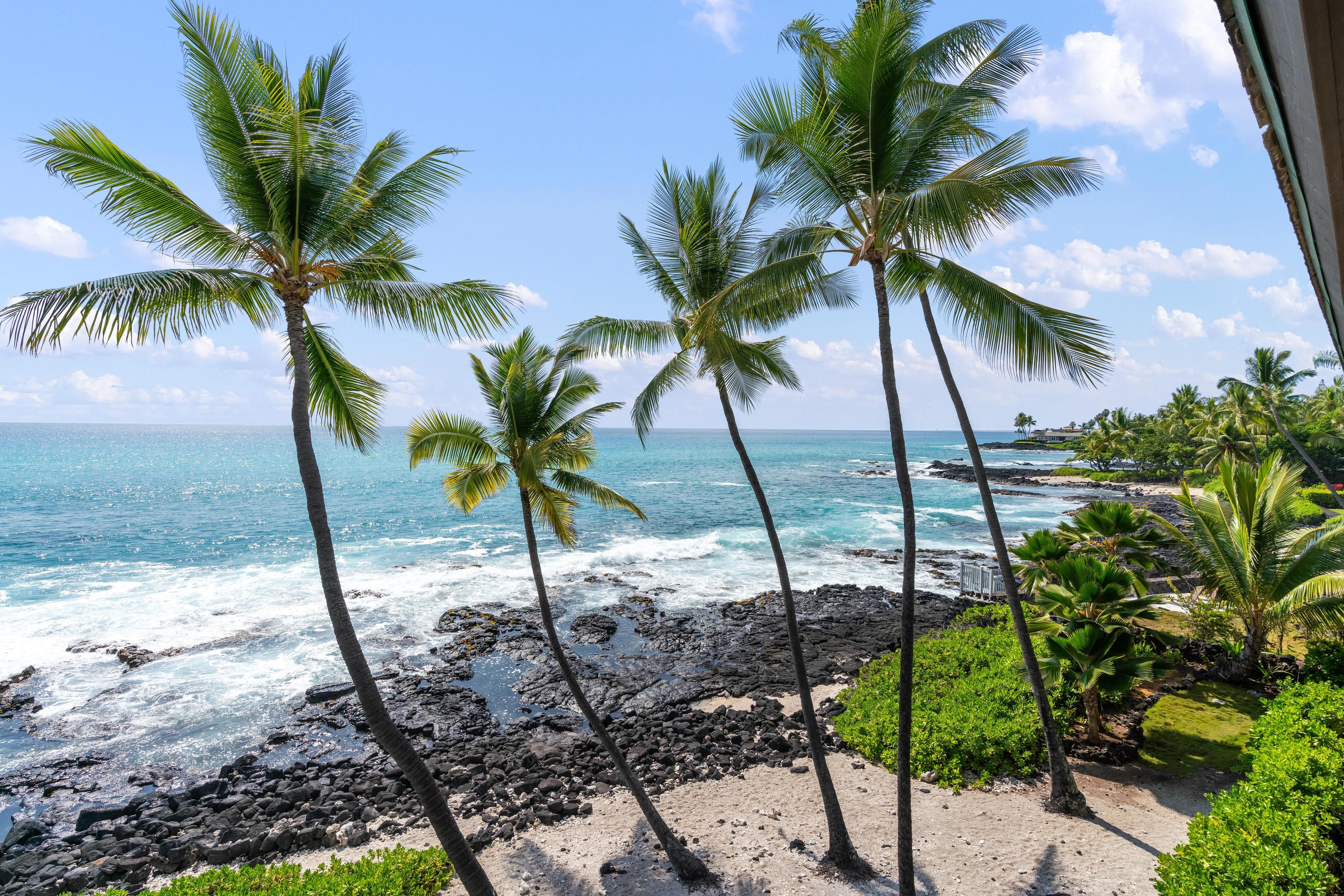 Big Island Kona Nalu 304 Coldwell Banker Island Vacations, RB 22373 Vacation Rental
