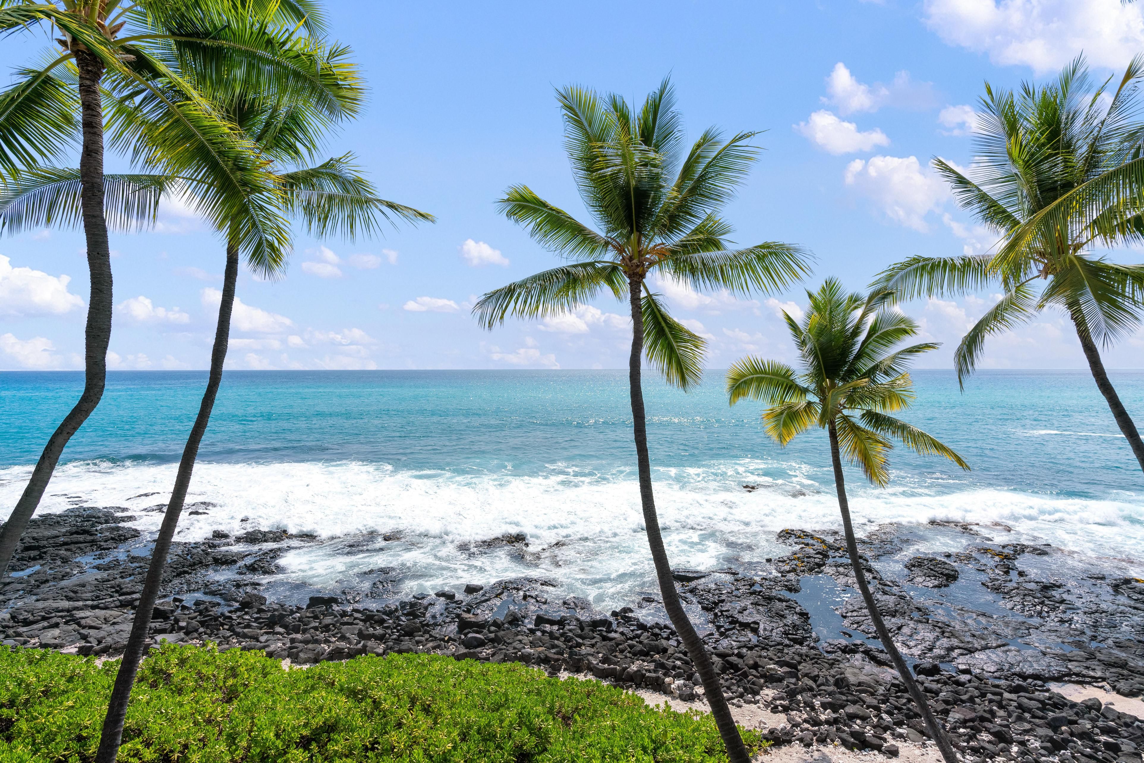 Big Island Kona Nalu 304 Coldwell Banker Island Vacations, RB 22373 Vacation Rental