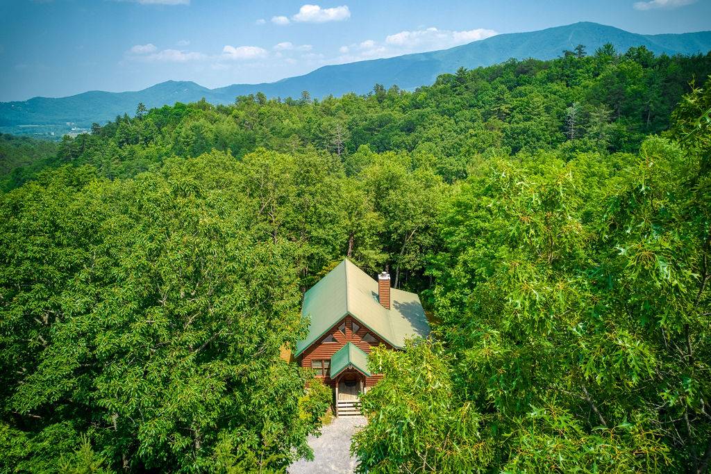 Run to the Hills  RE/MAX Cove Mountain Realty & Cabins