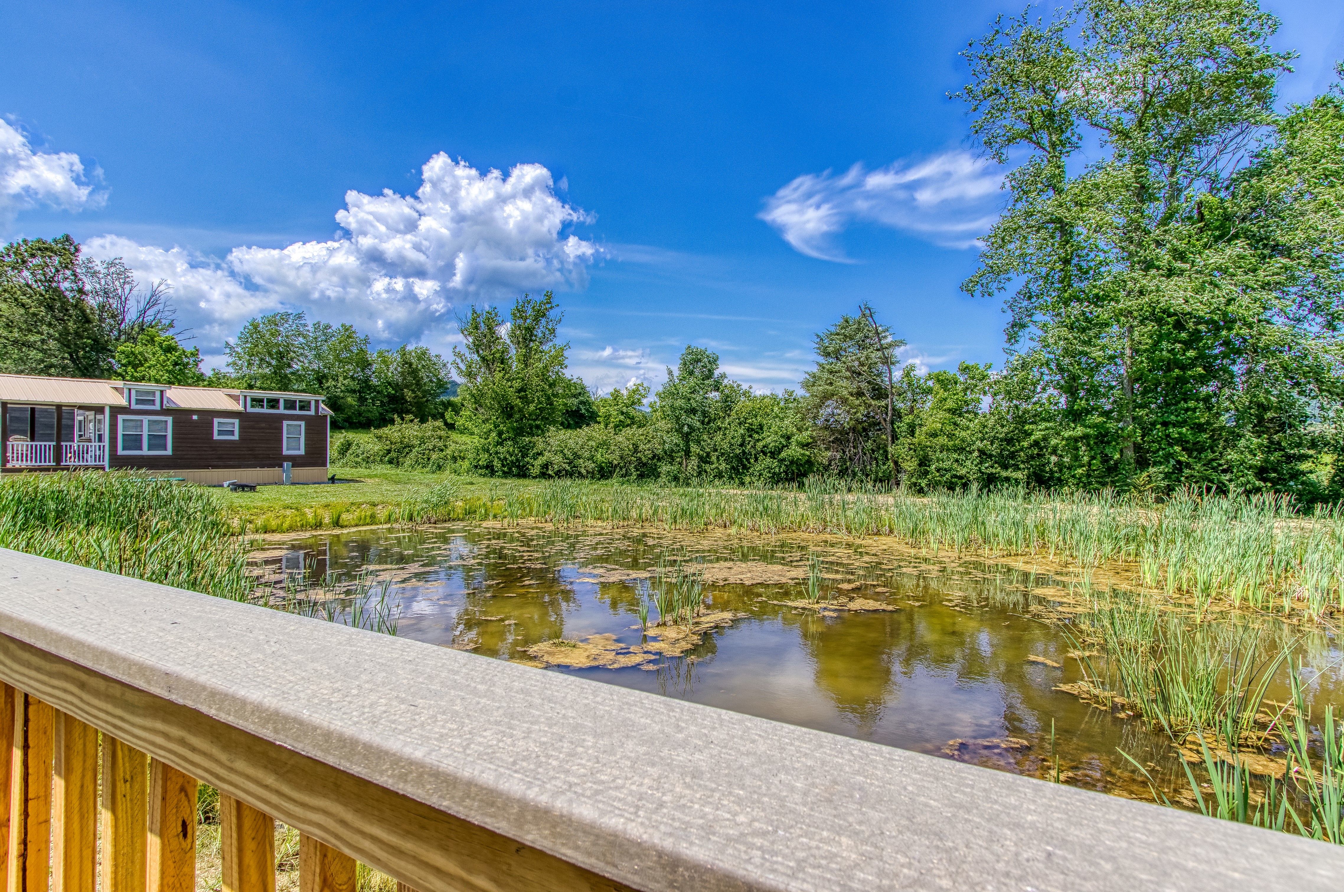 Mallard's Nest RE/MAX Cove Mountain Realty & Cabins