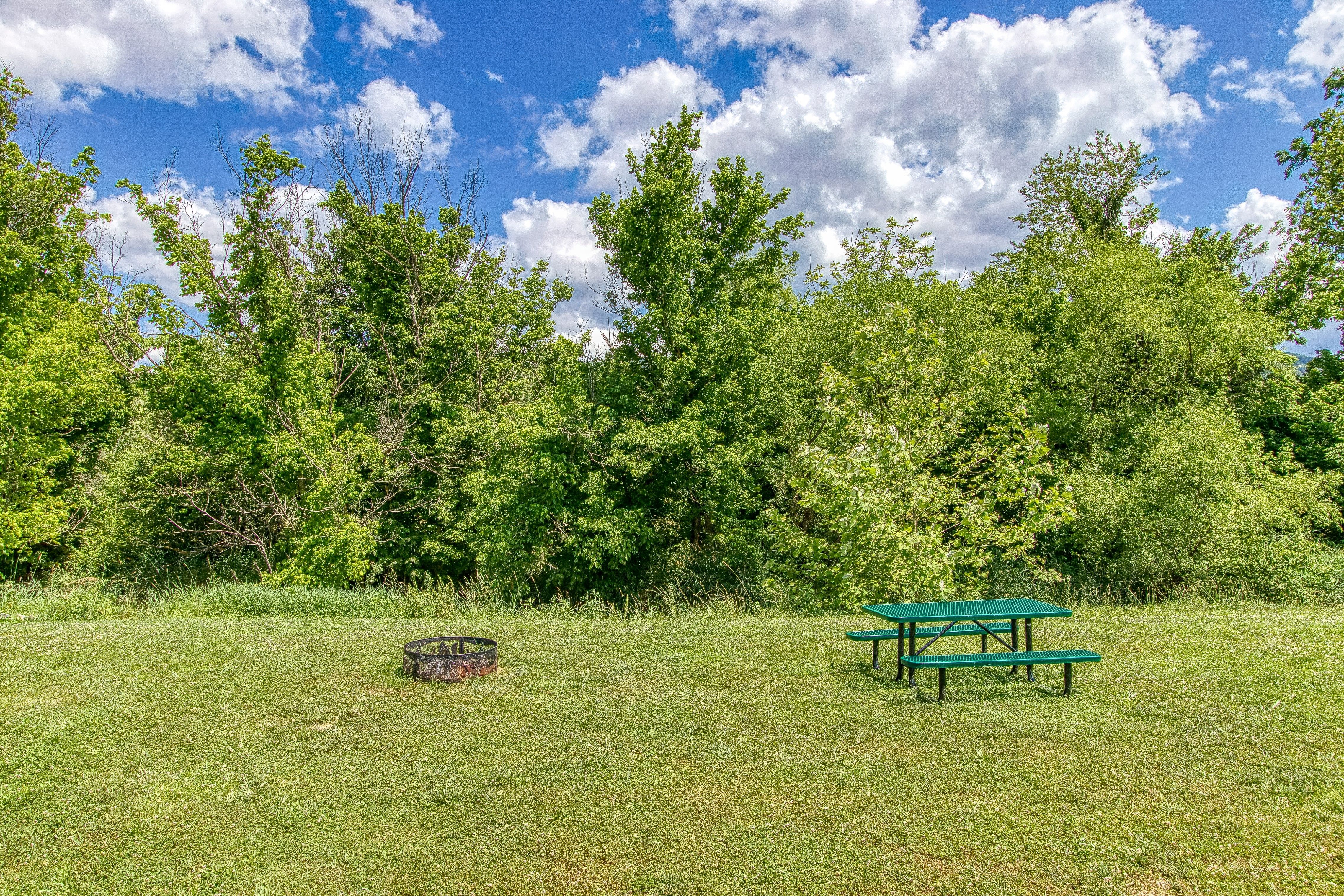 Mallard's Nest RE/MAX Cove Mountain Realty & Cabins