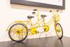 An interesting tandem bike keeps the decor on theme