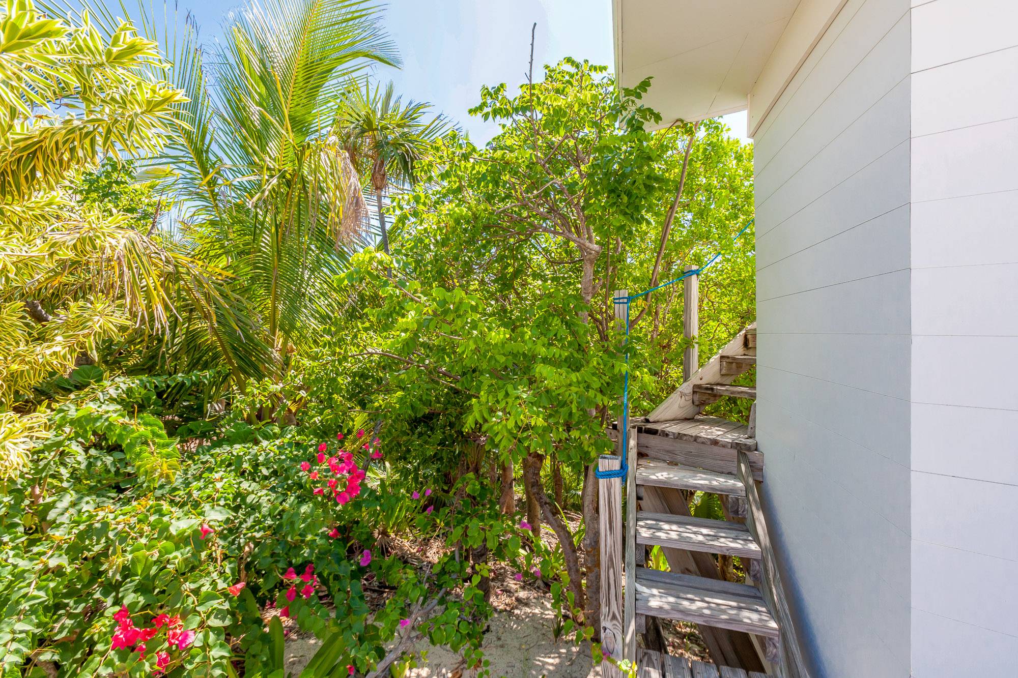Steps to the top of that shed for a different look.
