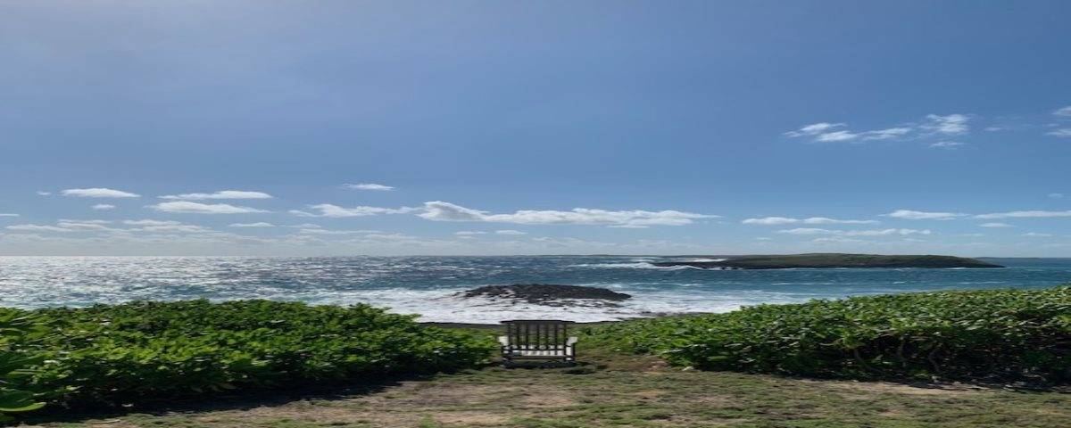 Panoramic