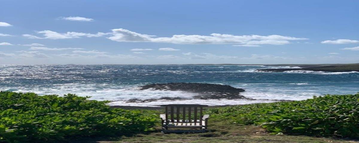Panoramic