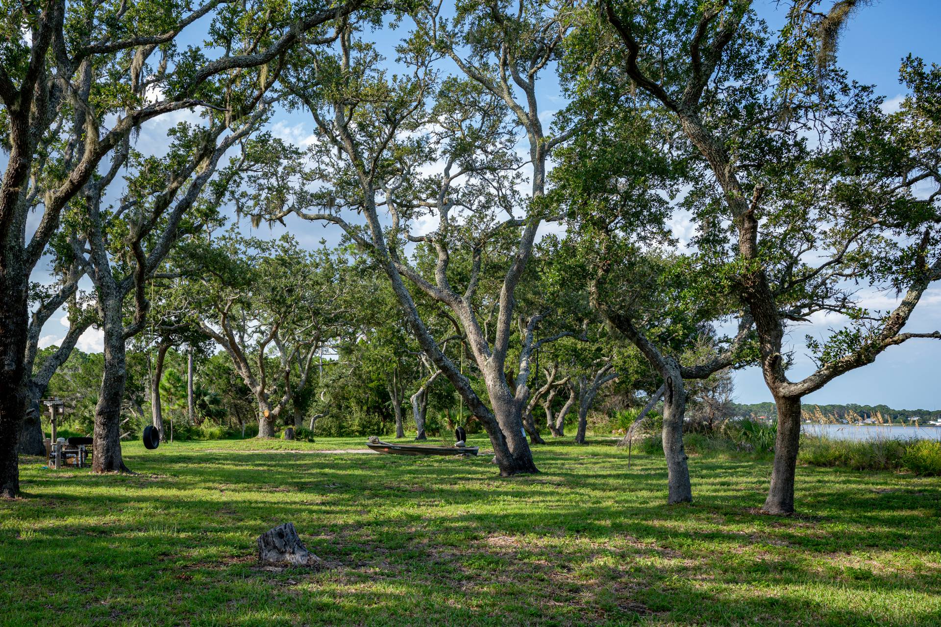 Spacious grounds w/ beautiful oak trees