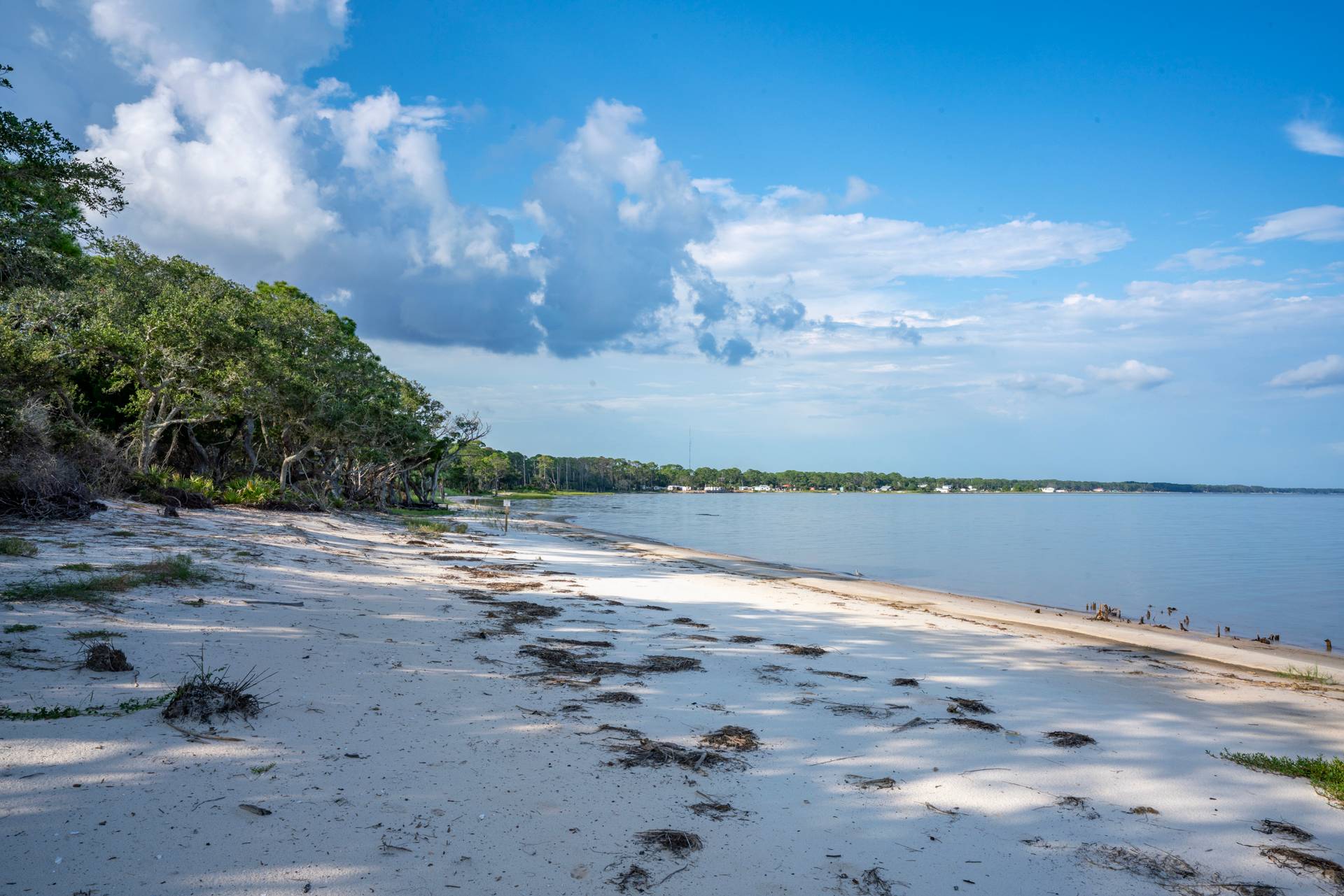 Beaches of Cat Point looking East