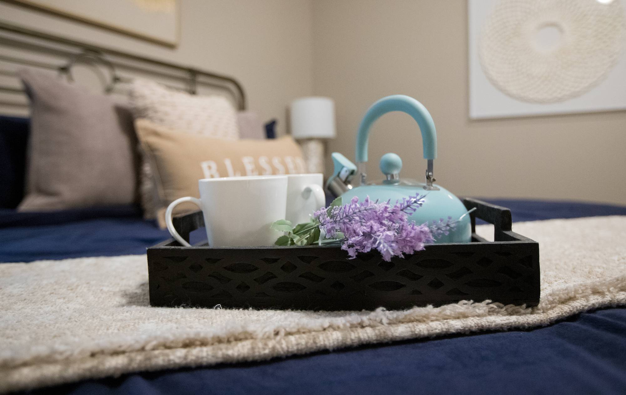 Purple Sage Fredericksburg Escapes