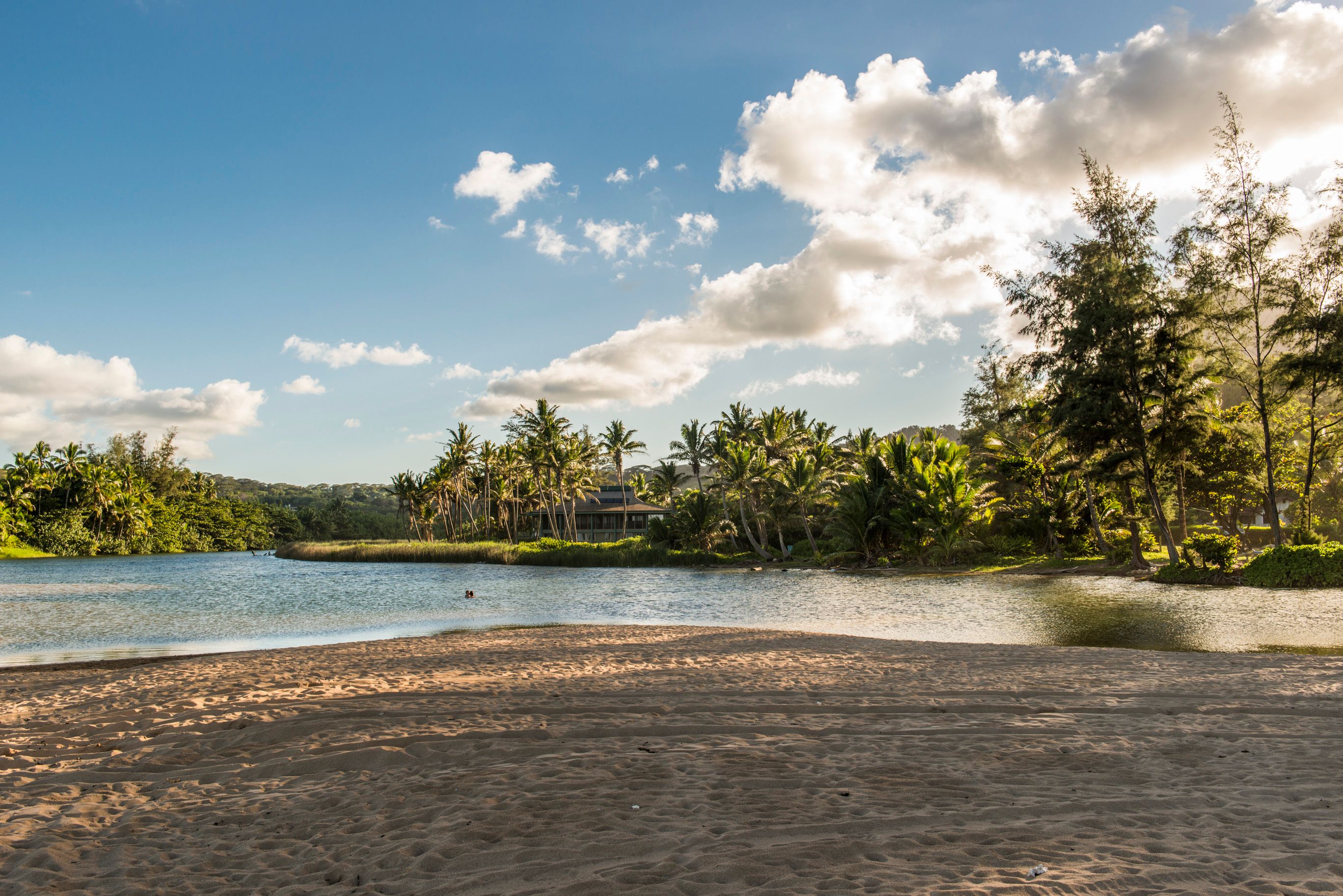 Hibiscus Hula Beach Cottage, Steps to Anahola Bay, TVNC 5067 Garden