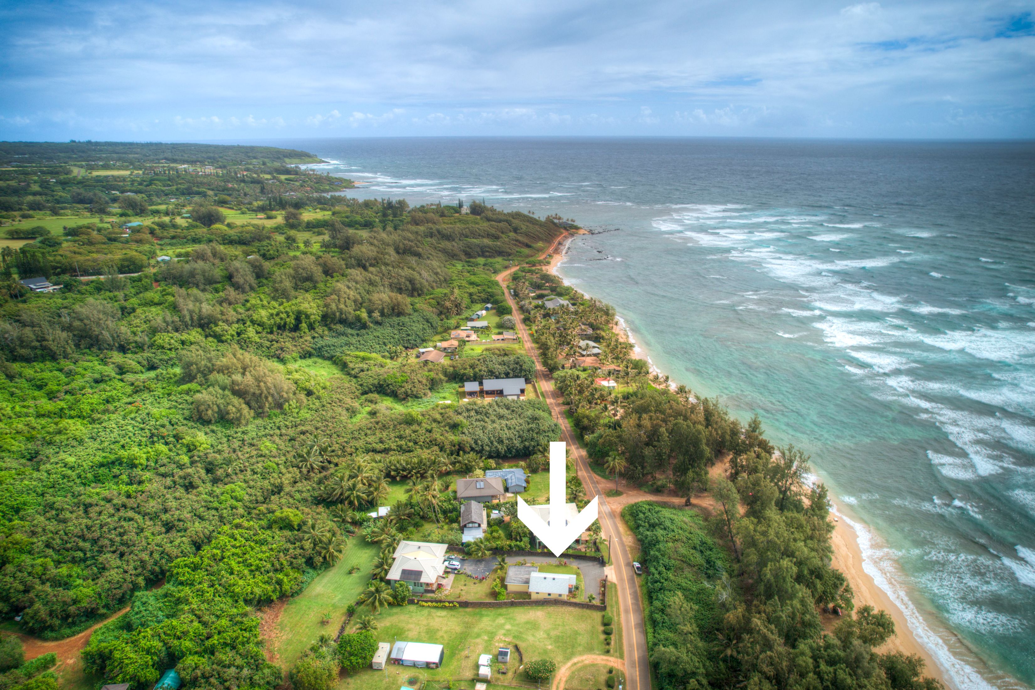 Hibiscus Hula Beach Cottage, Steps to Anahola Bay, TVNC #5067