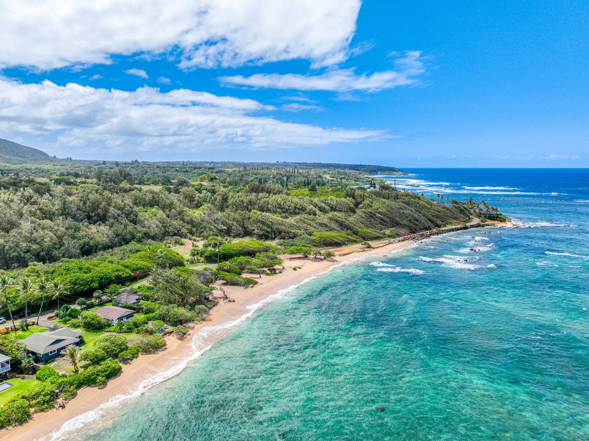 Hibiscus Hula Beach Cottage, Steps to Anahola Bay, TVNC 5067 Garden