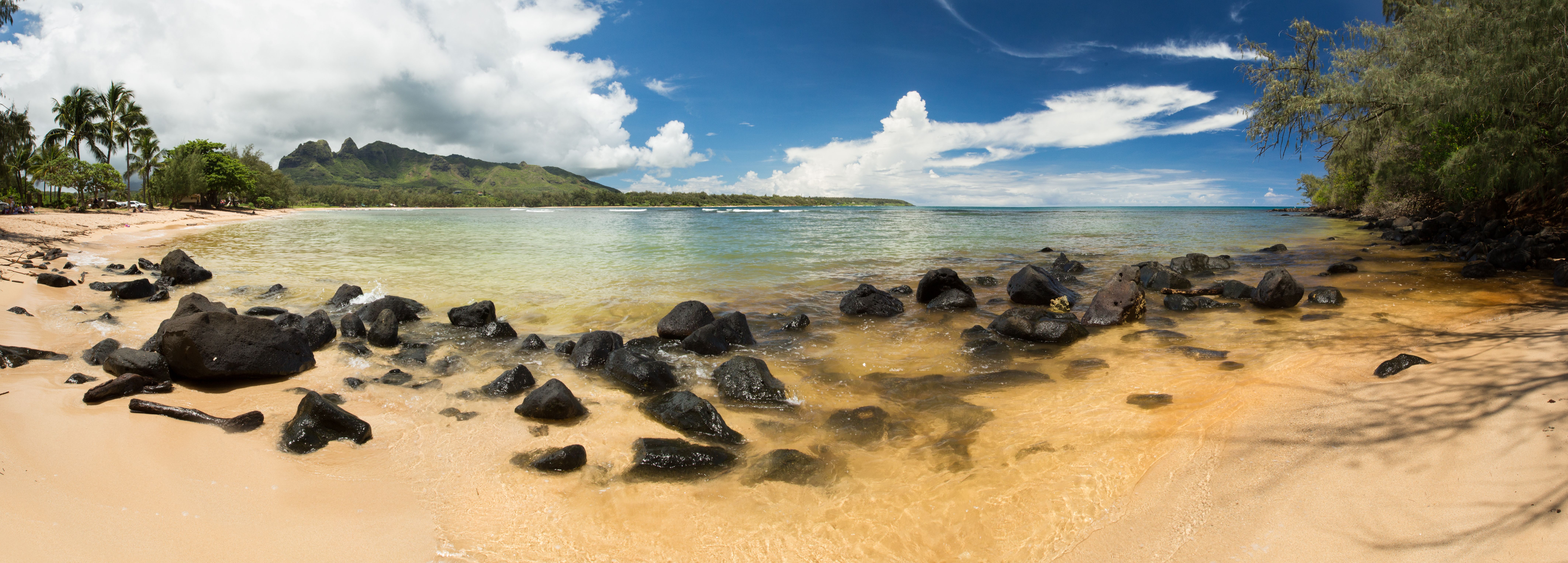 Hibiscus Hula Beach Cottage, Steps to Anahola Bay, TVNC 5067 Garden