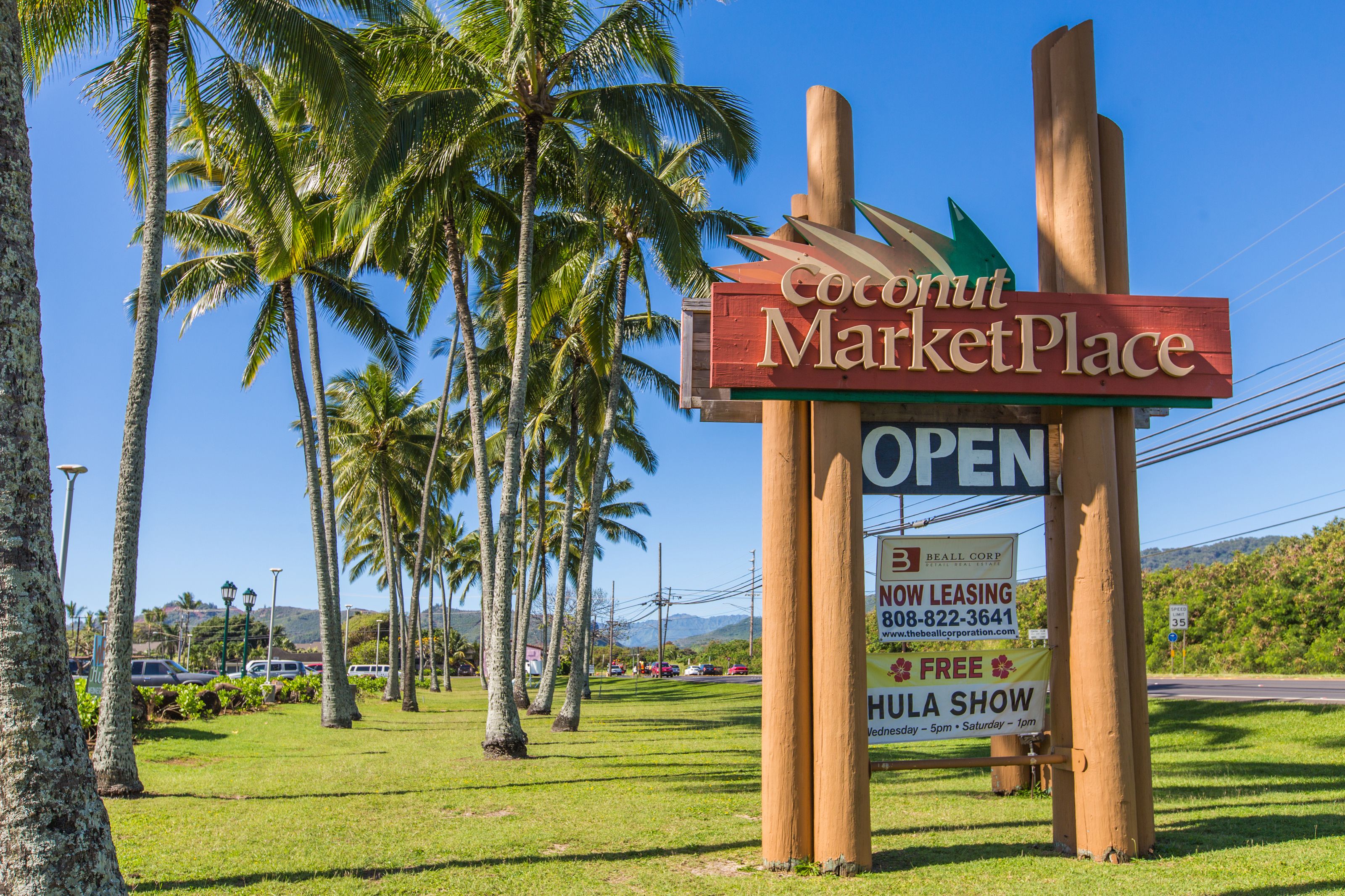 Village Manor D22, Kapaa Town Coconut Grove, Walk to Beach Garden