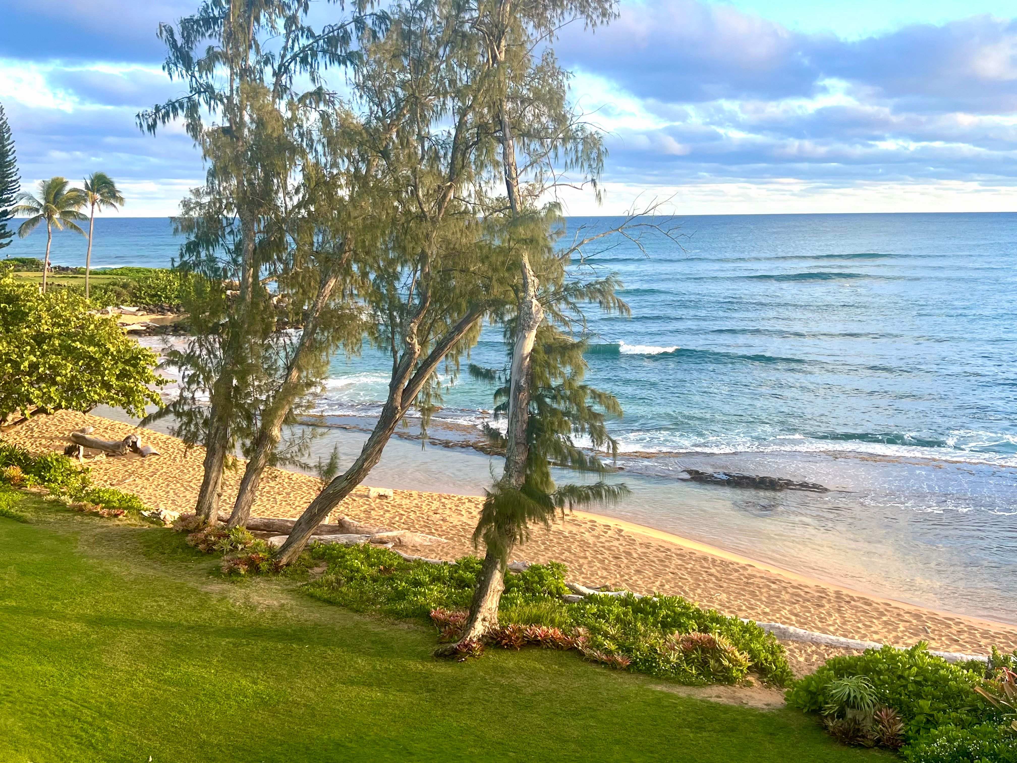 Lae Nani #536, Oceanfront, Top/3rd Floor, End Unit | Garden Island