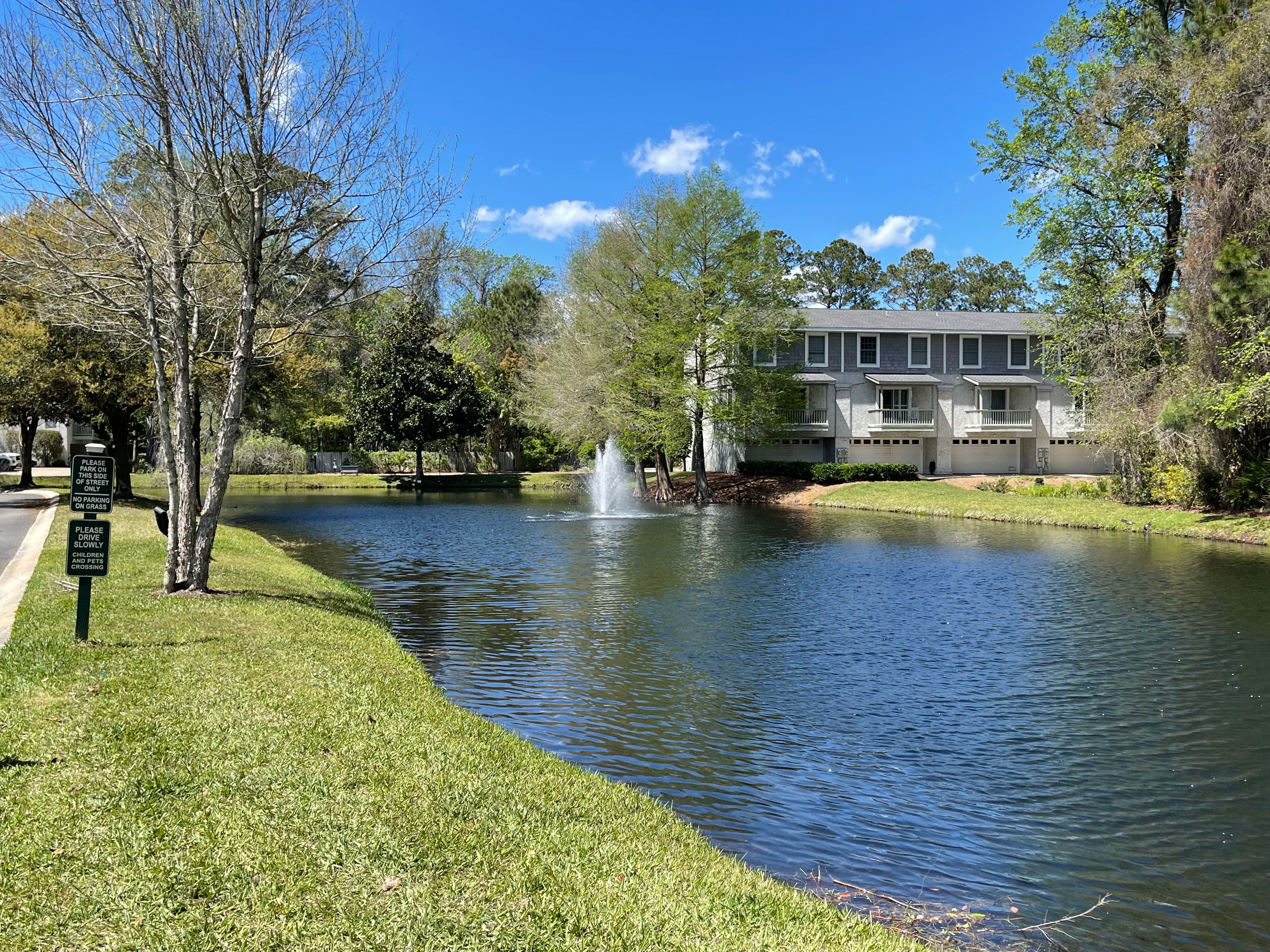 Demere Landing 101 Golden Isles Realty Co.