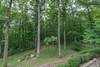 Spacious, level yard is perfect for kids.