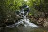Lower Catawba Falls-