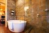 Master bathroom soaking tub and walk-in shower.