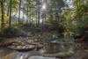 Beautiful creek with personal swimming hole to enjoy.