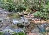 Bold Creek out front